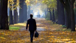 وجه جديد للأسرة التركية… أرقام تخفي تحولات عميقة