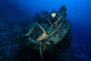 احتفالات 19 مايو تصل إلى أعماق البحر.. كيف تم إحياء ذكرى أتاتورك تحت الماء؟ 7