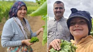 طريقة ذكية تضاعف أجور النساء في مانيسا التركية