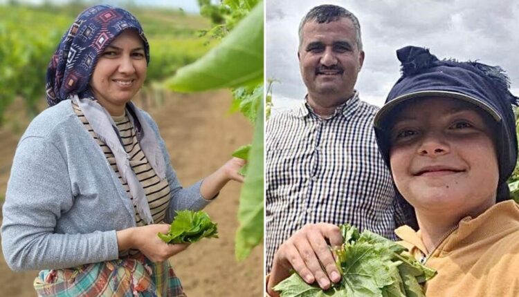 طريقة ذكية تضاعف أجور النساء في مانيسا التركية