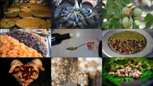 81 منتجًا تركيًا ينتظر الاعتراف الأوروبي