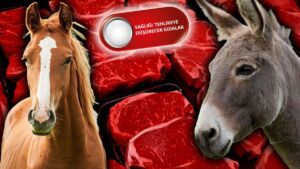 فضيحة مقززة في مدينتين تركيتين.. وجبات بمكونات صادمة!