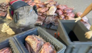 شانلي أورفا: ضبط شاحنة لحوم فاسدة بقيمة مليون و360 ألف ليرة