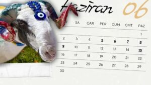 وزير التعليم التركي يحسم الجدل بشأن عطلة العيد