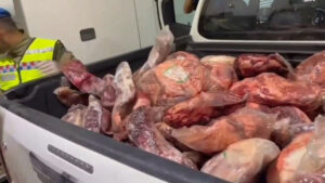 ما وُجد في الحقائب صدم الدرك التركي.. إليك التفاصيل!