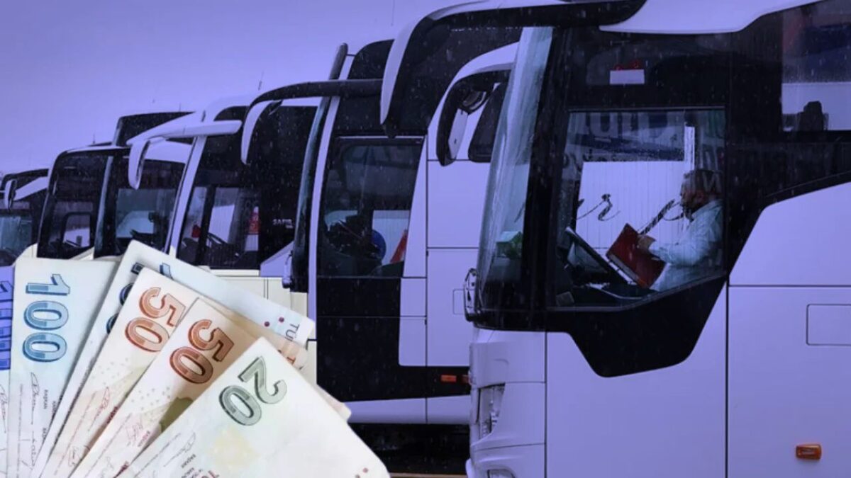 بعد بلوغ نسبة الإشغال 100%.. تنظيم رحلات إضافية بين المدن التركية 7