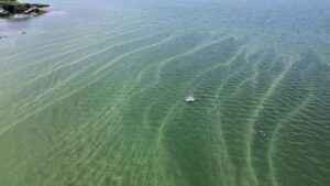 بحيرة إزنيك في بورصة.. من فيروزية الحياة إلى عتمة الخطر!