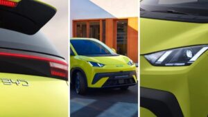 دولفين الصين تقتحم أوروبا