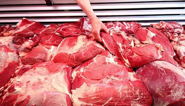 أرقام صادمة من مزارع تركيا: الانخفاض الأكبر منذ 23 عامًا