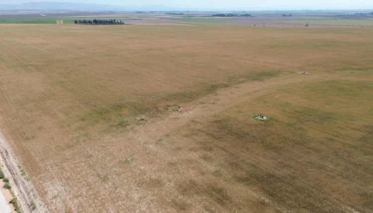 الجفاف يضرب اكثر المناطق خصوبة في تركيا.. "خسائر غير مسبوقة"