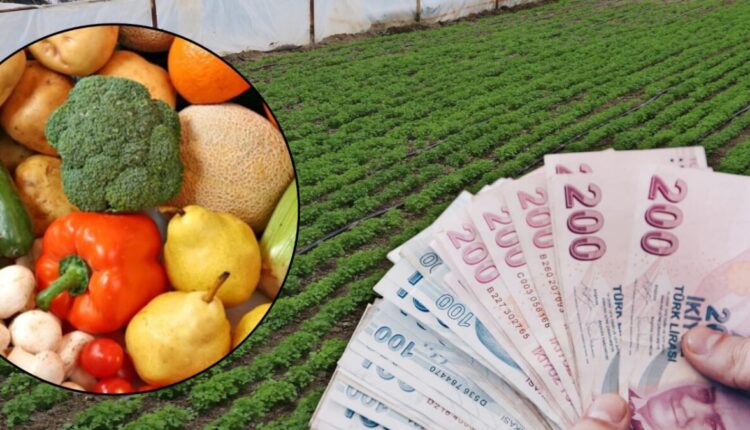 تحذير: "الخضروات والفواكه في تركيا في خطر"