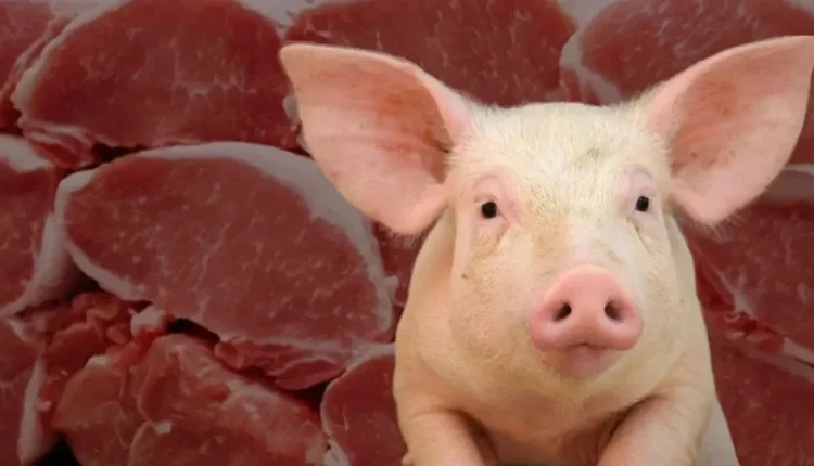 تركيا تسجّل قفزة في صادرات لحم الخنزير بنسبة 714% خلال عام واحد