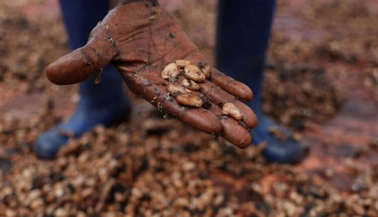 تقرير يثير القلق حول أزمة الشوكولاتة