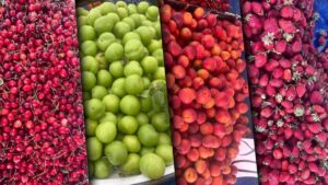 أسعار الفاكهة تحرق جيوب الأتراك