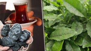 إذا لاحظتم أن طعم الشاي في تركيا أصبح بنكهة الفحم، فلا تتفاجؤوا!