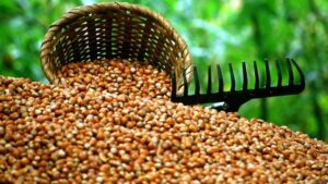 هل تعلم كيف يتم بيع البندق التركي؟ الأمر ليس كما تظن!