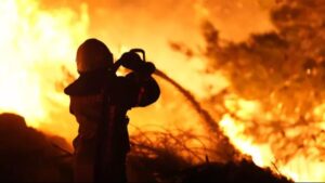 الخطر يزداد... والي تركي يحذر: شرارة واحدة قد تُدمر عامًا كاملًا!