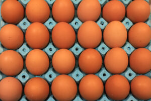 تركيا تفقد ملايين البيض