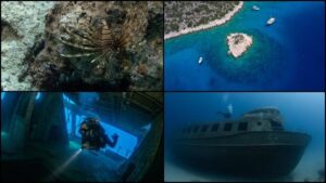 حدائق فنية تحت الماء.. “قاش” التركية وجهة للغواصين