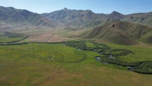 لن تصدق أن هذا في تركيا “صور”