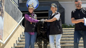 جريمة طعن تهز إسطنبول… والقاتلة تسلّم نفسها!