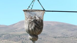 مدينة تركية بلا بحر تنافس العالم بصادراتها.. إليك التفاصيل المذهلة