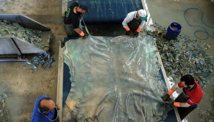 تركيا تخسر ثروة خفية كل عيد