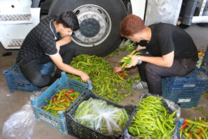 في ساعات قليلة.. تغير مفاجئ يربك أسواق الخضار والفواكه شرق تركيا