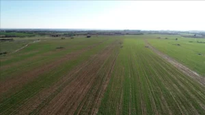 مزاد عقاري ضخم من TOKİ: بيع 310 أرضًا في 41 ولاية مع تقسيط وخصومات في 19-20 يونيو