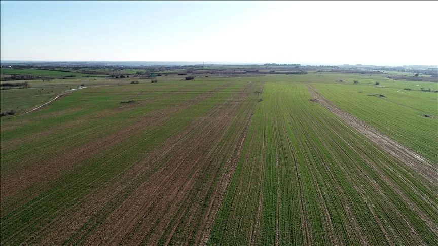 مزاد عقاري ضخم من TOKİ: بيع 310 أرضًا في 41 ولاية مع تقسيط وخصومات في 19-20 يونيو 13