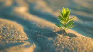 الأمل ليس مجرد شعور.. بل قوة تعزز الصحة وتطيل العمر