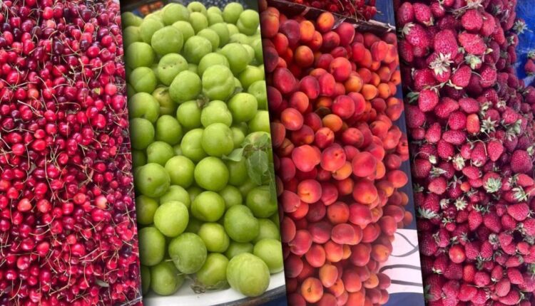 أسعار الفاكهة تحرق جيوب الأتراك