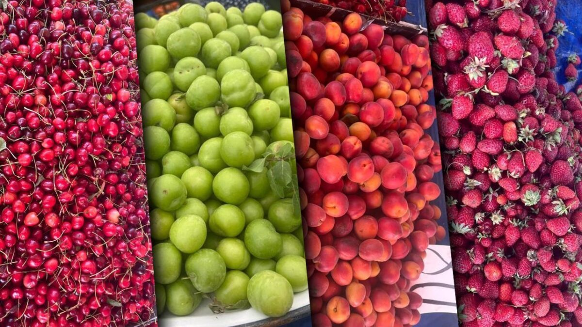 أسعار الفاكهة تحرق جيوب الأتراك