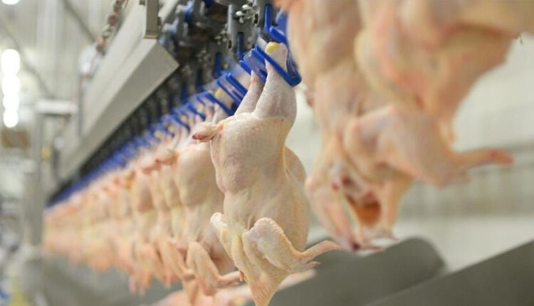 تراجع أسعار الدجاج والخضروات في تركيا.. تعرف على أسباب انخفاض الأسعار