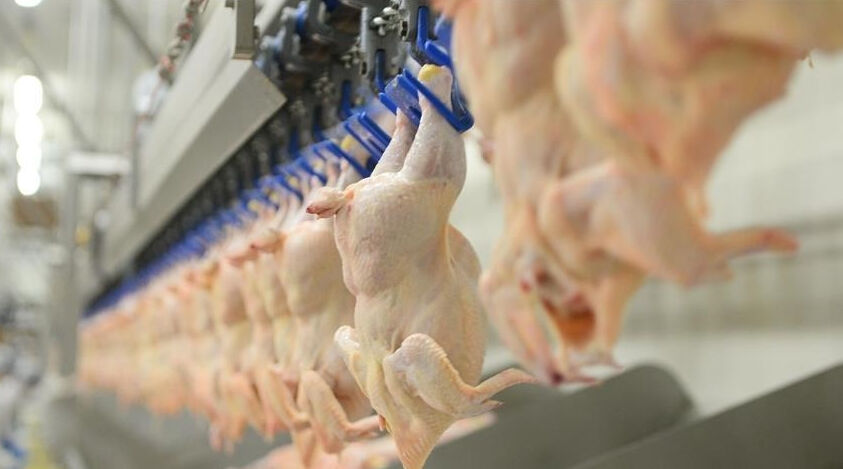 تراجع أسعار الدجاج والخضروات في تركيا.. تعرف على أسباب انخفاض الأسعار