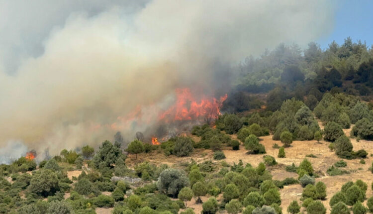 تركيا تكافح حرائق غابات ضخمة: إجلاء أكثر من 50 ألف مواطن وتضرر آلاف المنازل والمناطق الزراعية