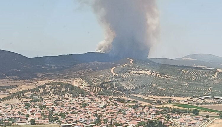 حريق ضخم يشتعل في غابات بمدينة إزمير.. جهود إطفاء مكثفة من الجو والبر!
