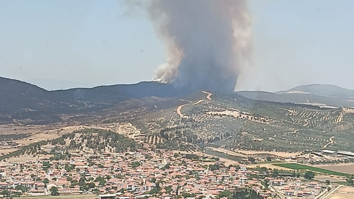 حريق ضخم يشتعل في غابات بمدينة إزمير.. جهود إطفاء مكثفة من الجو والبر!