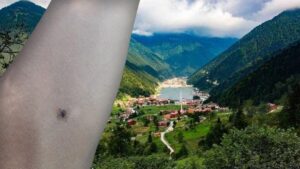 سكان الشمال التركي في دائرة الخطر