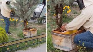 حادثة غريبة في مدينة إغدير التركية أثارت قلق المارة