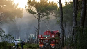 حرائق الغابات في تركيا تواصل حصد الأرواح.. وفاة ثالثة في إزمير