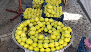 تين آيدين التركية.. طلبات متدفقة وسعر معقول يشعل الأسواق! 1