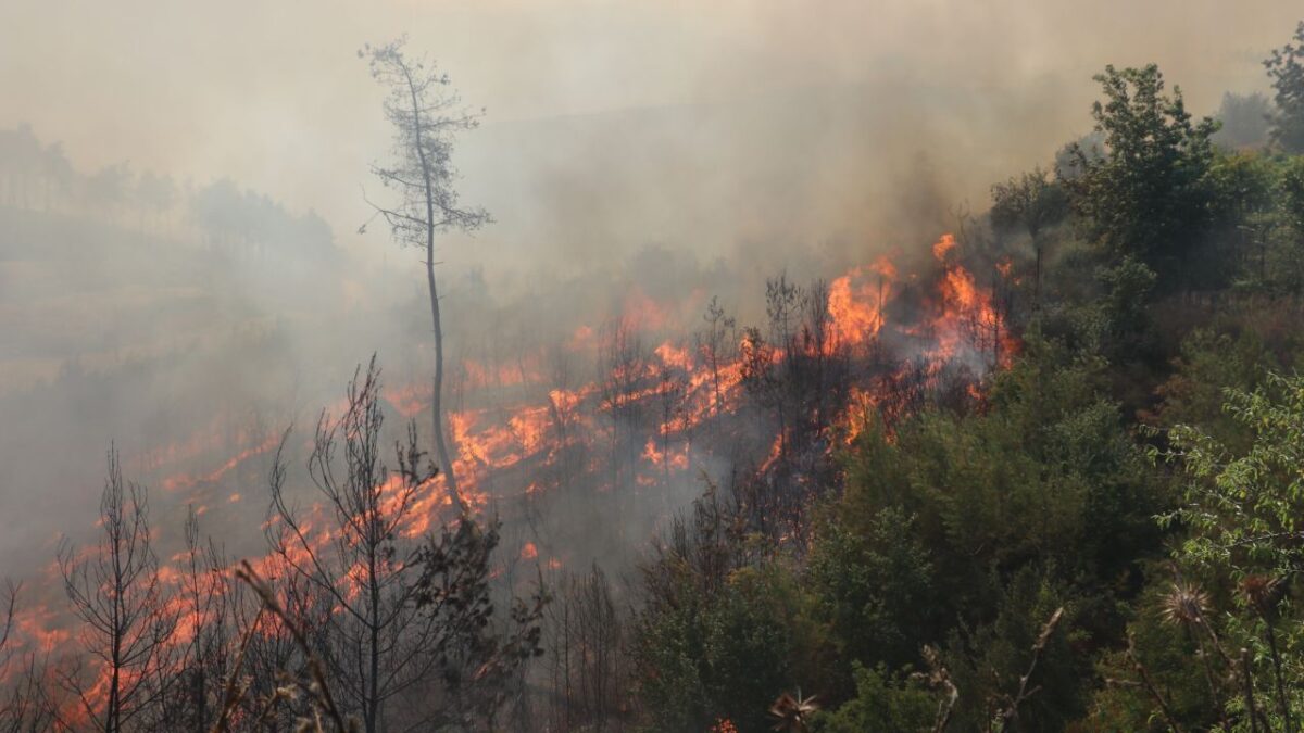 تحقيقات واسعة واعتقالات في تركيا! 13