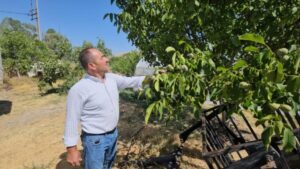 منتج تركي فاخر يستعد لغزو الأسواق العالمية.. موسم استثنائي في بتليس