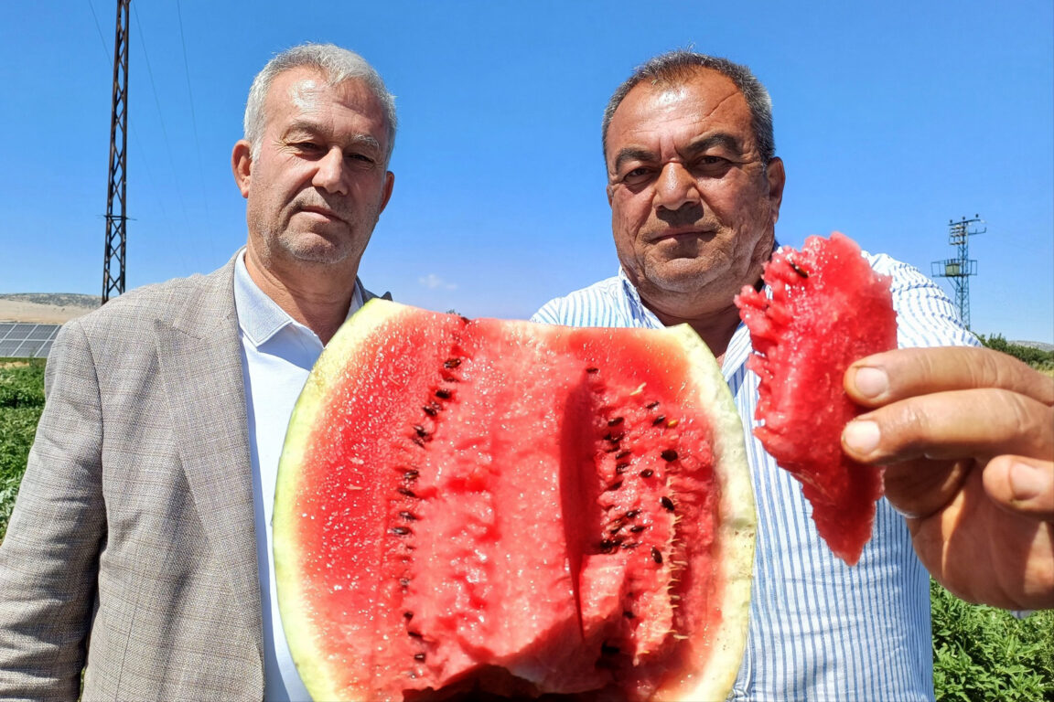 فاكهة الصيف في تركيا تغضب المزارعين.. كيلو البطيخ بسعر صادم! 35