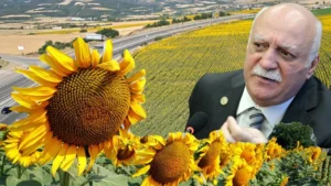 مستقبل تركيا في خطر!