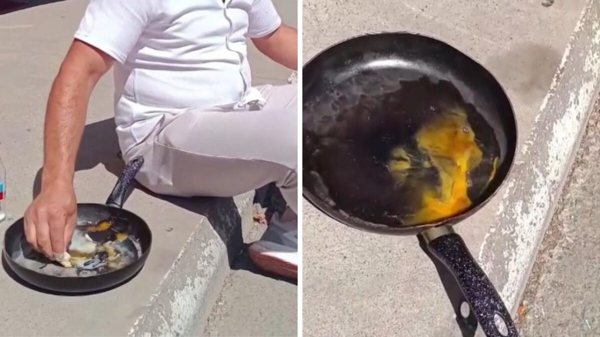 في إسطنبول يُقلى البيض مجانًا.. والتجربة تذهل المارة! 7