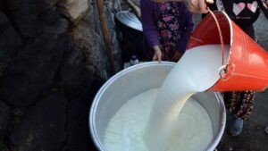 تركيا ترفع سعر الحليب بدءاً من أغسطس.. إليك السعر الجديد!