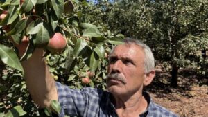 من عتمة المناجم إلى خضرة البساتين.. قصة تركي ألهمت العشرات وغيرت مصيرهم!