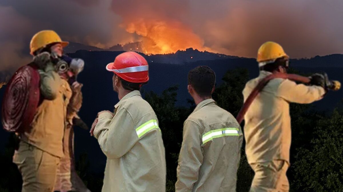 فاجعة في غابات إسكي شهير.. سقوط ضحايا خلال مهمة إطفاء حريق هائل 3